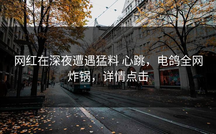 网红在深夜遭遇猛料 心跳，电鸽全网炸锅，详情点击