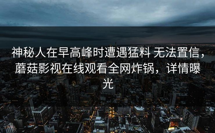 神秘人在早高峰时遭遇猛料 无法置信，蘑菇影视在线观看全网炸锅，详情曝光